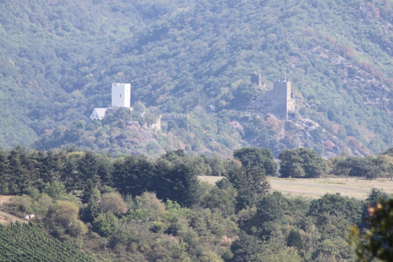 Ferienwohnungen Arnold Boppard Luaran gambar
